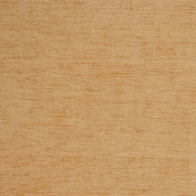 Plush Fabric