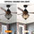 Batts 52'' Ceiling Fan with Light Kit