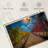 Yarlin Vineyard-111983461