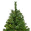 7.5' Pre-Lit Chatham Pine Artificial Christmas Tree Multi-Color Lights