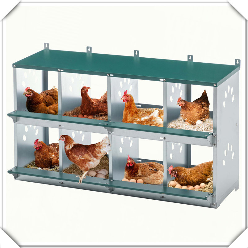 Boîte de nidification à 8 compartiments pour poules pondeuses, poulailler en métal, fixation murale pour poulets, poules et poulailler