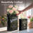 Whiskey & Botanist Ceramic Book Vase Set, 2 pc - Bar Decor