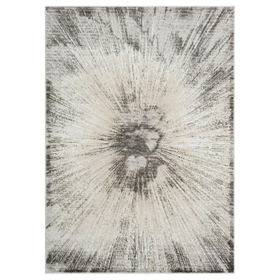 Jisha Abstract Indoor Rug