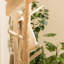 Cafferkey Solid Wood Freestanding