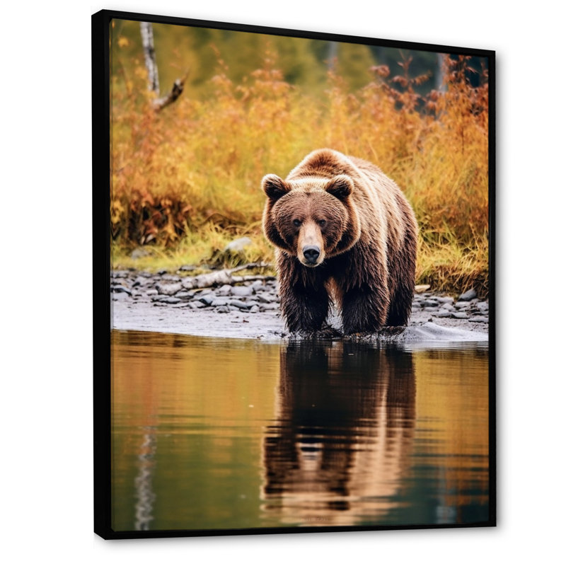Grizzly dans un paysage de l'Alaska III, Cadre flottant noir, H 32 po x l 16 po x P 1 po