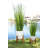 Faux Onion Grass Grass in Ceramic Pot-1470934462