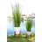 Faux Onion Grass in Ceramic Pot-1470934462