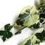 Hanging Plants 40cm Faux Foliage Plant