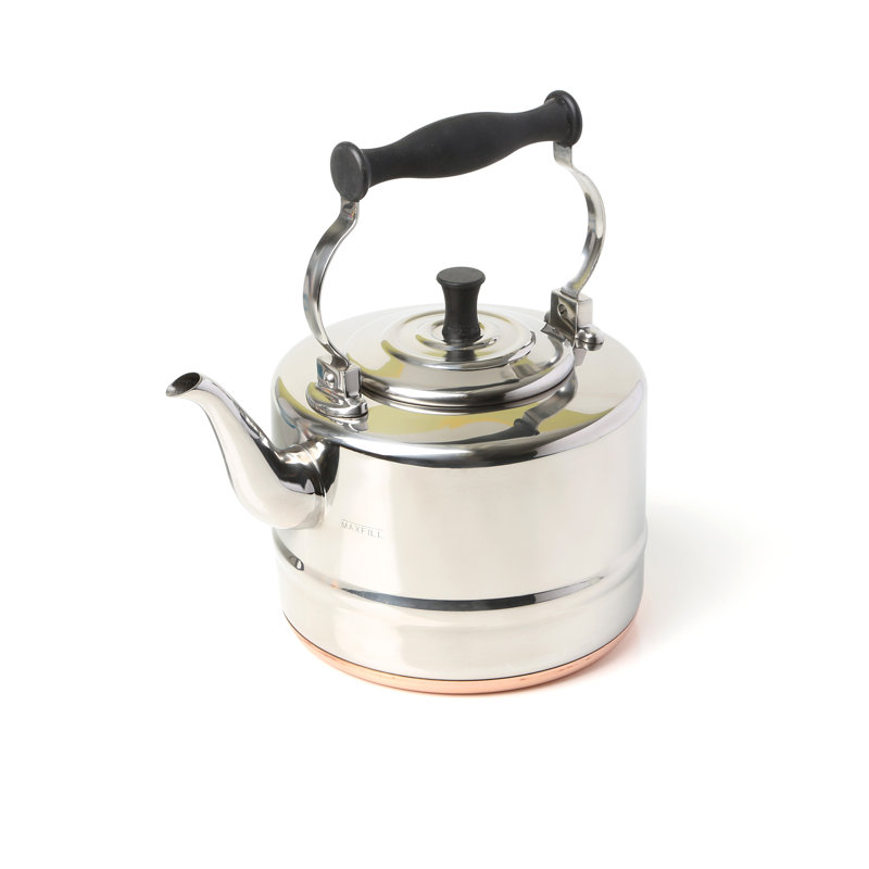 BonJour Tea Stainless Steel and Copper-Base Gooseneck Teakettle, 2-Quart