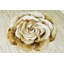 Tapis beige à motif floral Viera-548373318