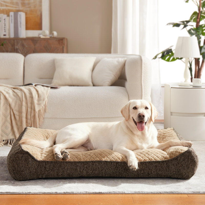Lit pour chien orthopédique pour chien JOEJoy, grand lit de soutien pour chien avec côtés très épais, canapé pour lit doux pour animal de compagnie, housse de lit pour chien lavable à la machine