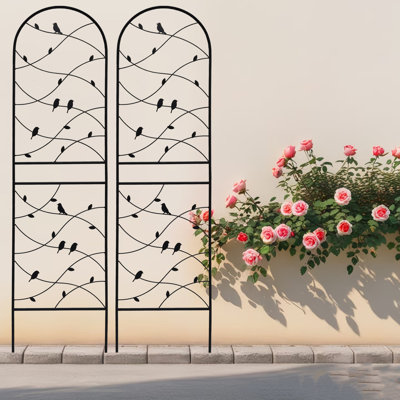 2 Pack Metal Garden Trellis