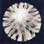 Scent Of Dandelion II Painting by Janice Sadler-26727830-26727834