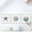 Lucero Sea Shore Gems by Marmont Hill - 3 Piece Single Picture Frame Painting-720165322