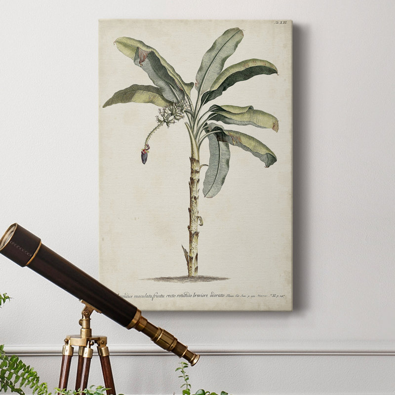 Banana Palm II - impression sur toile tendue, H 48 po x l 32 po x P 1 po