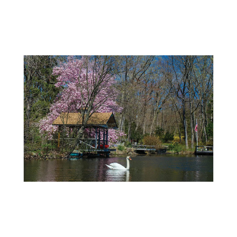 Cupsaw Spring by David Gardiner - Gallery-Wrapped Canvas Giclée on Canvas, Wrapped Canvas