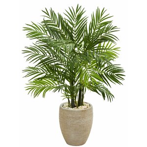 Bay Isle Home 48'' Faux Palm Tree in Ceramic Planter & Reviews | Wayfair