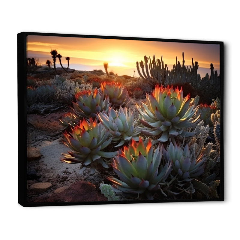 «Succulent Desert Cactus Field Burning Sunset III» - Art mural succulent, H 24 po x l 32 po x P 1 po, Cadre flottant noir