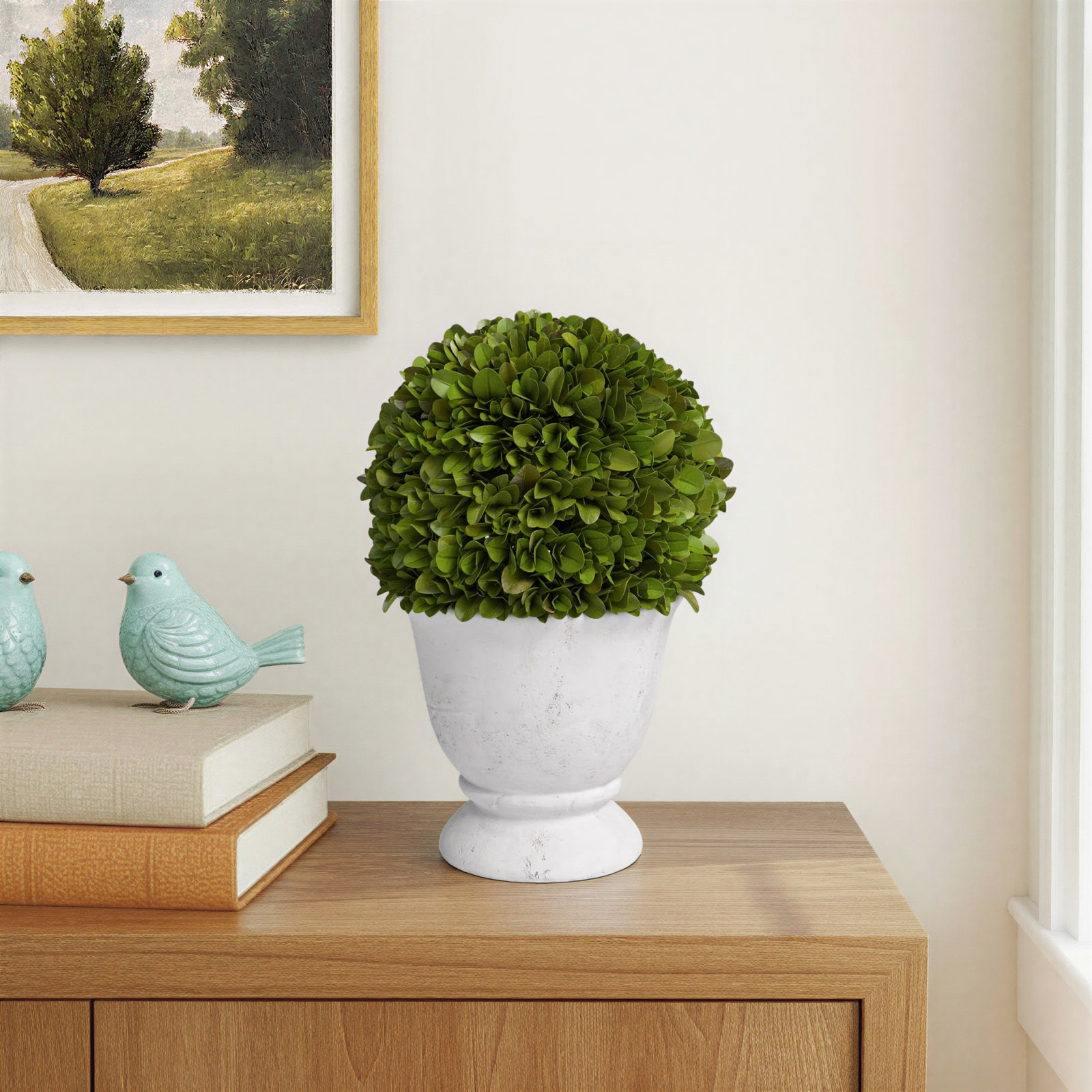 Alby 9.5'' Boxwood Topiary in Ceramic Urn, 9.5'' H X 6.25'' W X 6.25'' D