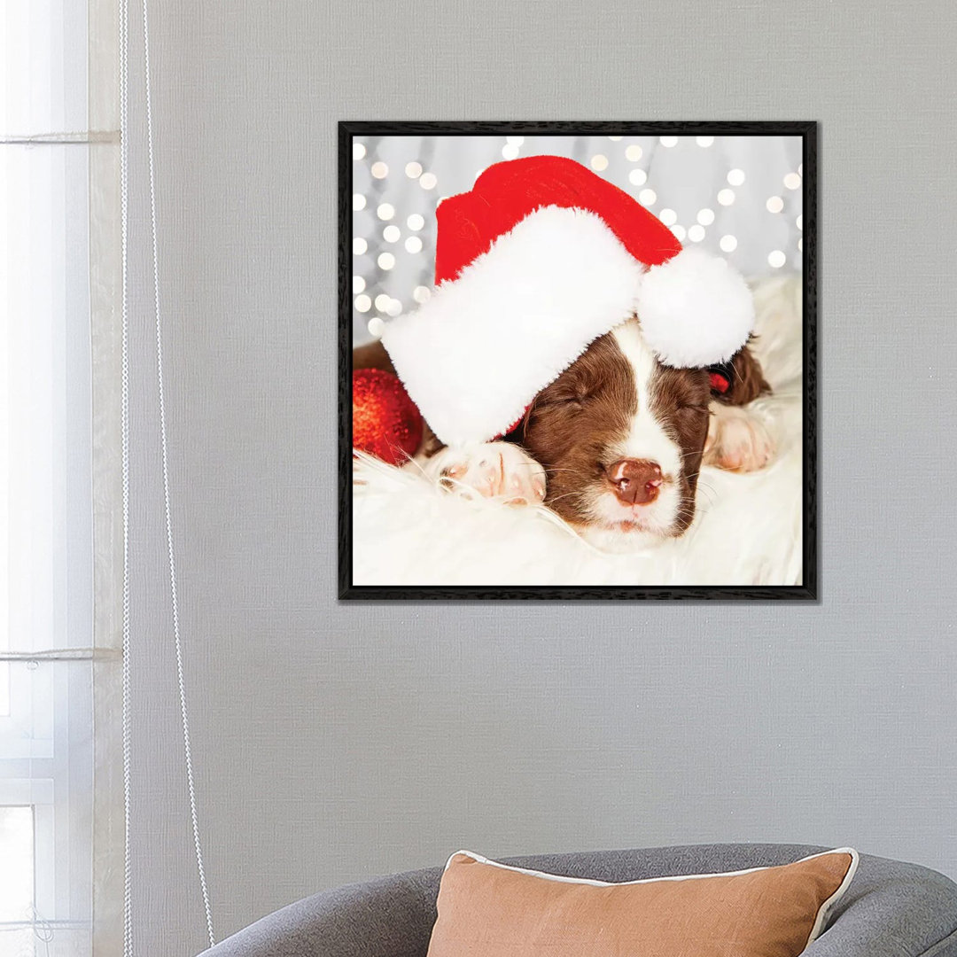 Puppy Wearing Santa Hat While Napping On II von Susan Richey - Gallery-Wrapped Canvas Giclée on Canvas