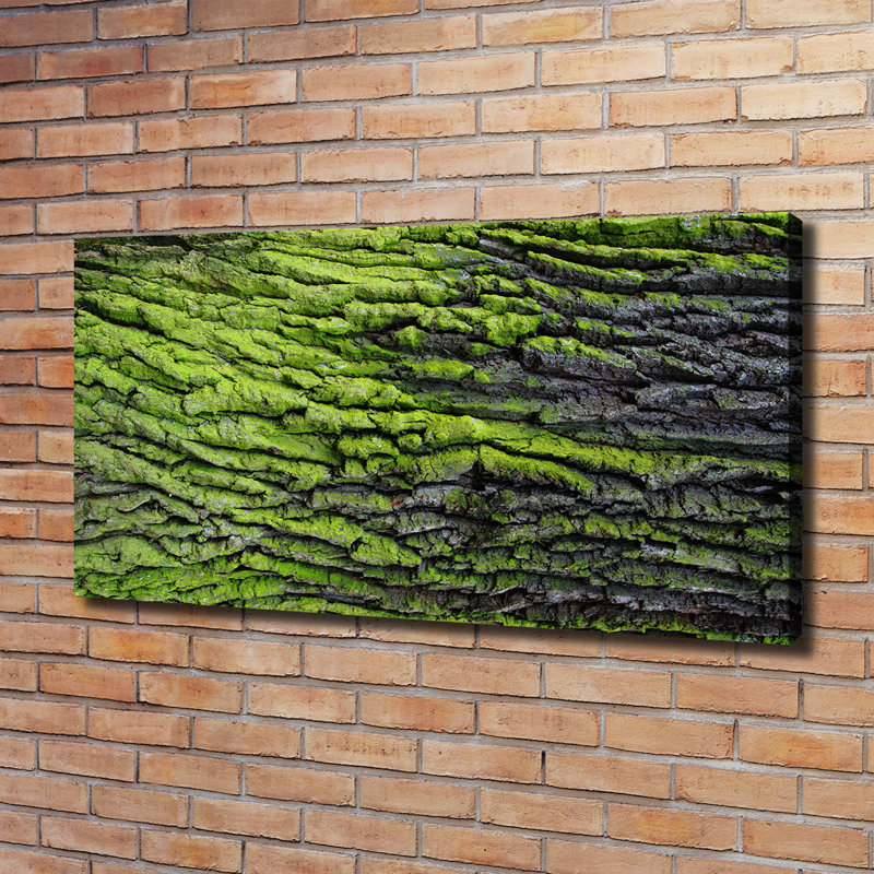 Tree Bark - Wrapped Canvas Print