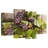 Yarlin Purple Pinot Grapes