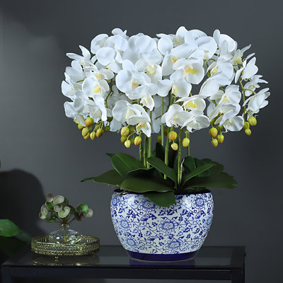 Arrangement d'orchidées