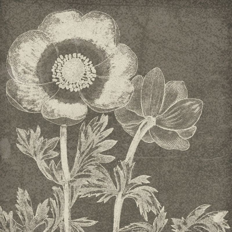 Craie de beauté botanique II, H 20 po x l 20 po