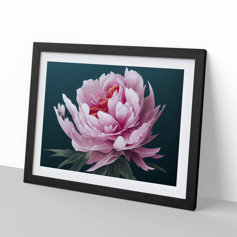 Marvellous Peony Flower - Framed Print, Black, 46cm H x 64cm W x 2cm D