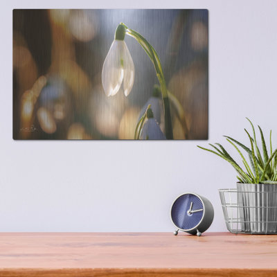 Art mural en métal luxueux «Shining Beauty» par Martin Podt, 16 po x 12 po