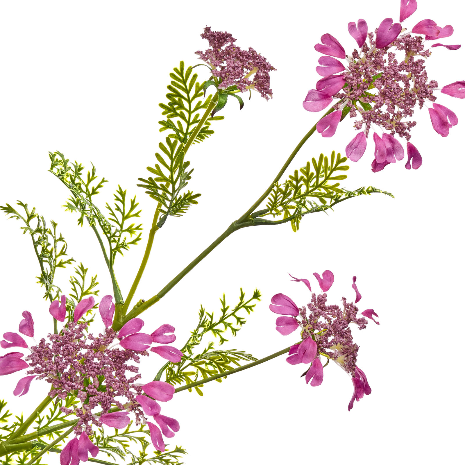 Field Yarrow Stems, Hot Pink