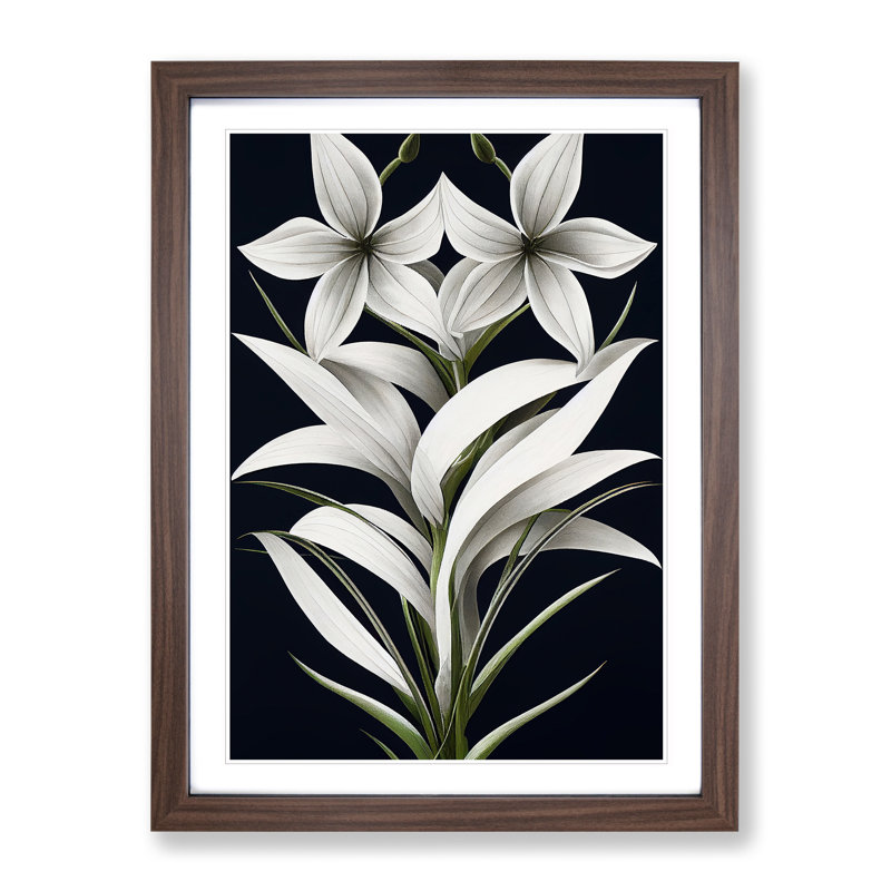 Shining Flowers - Framed Print, 34cm H x 25cm W x 2cm D, Walnut Framed