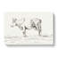 A Standing Cow by Jean Bernard - Wrapped Canvas Print-55368052