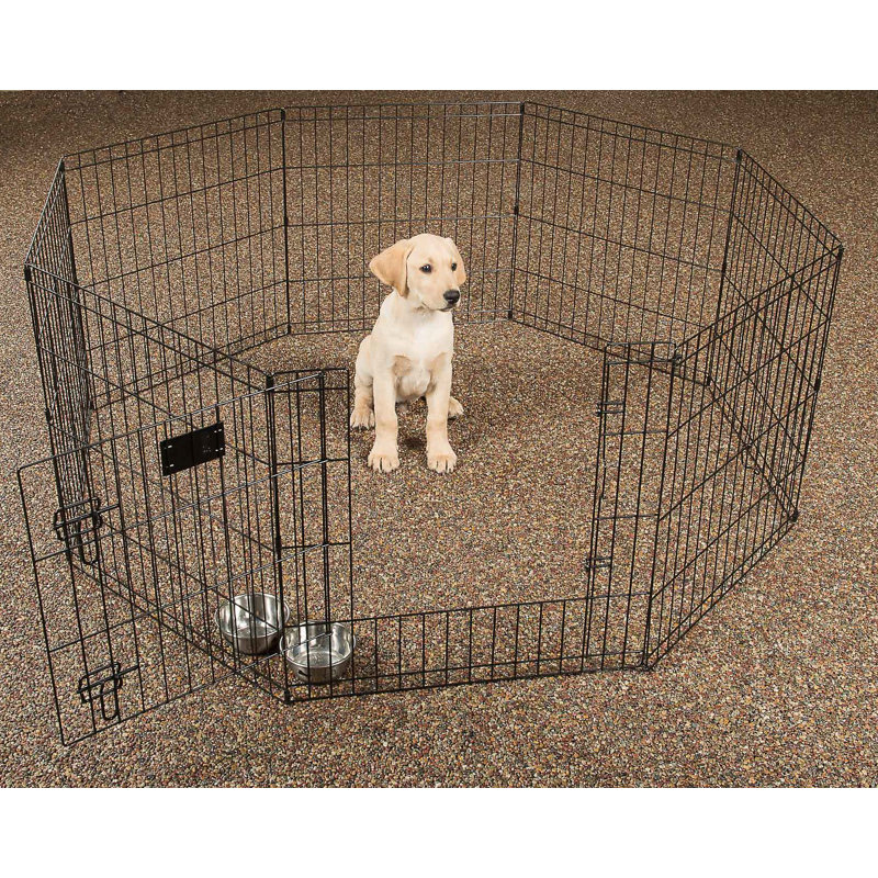 Lucky Dog 24"H Black Metal Exercise Pen with Stakes
