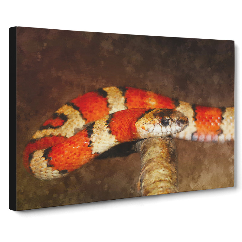 King Snake - Wrapped Canvas, 50cm H x 76cm W x 3cm D