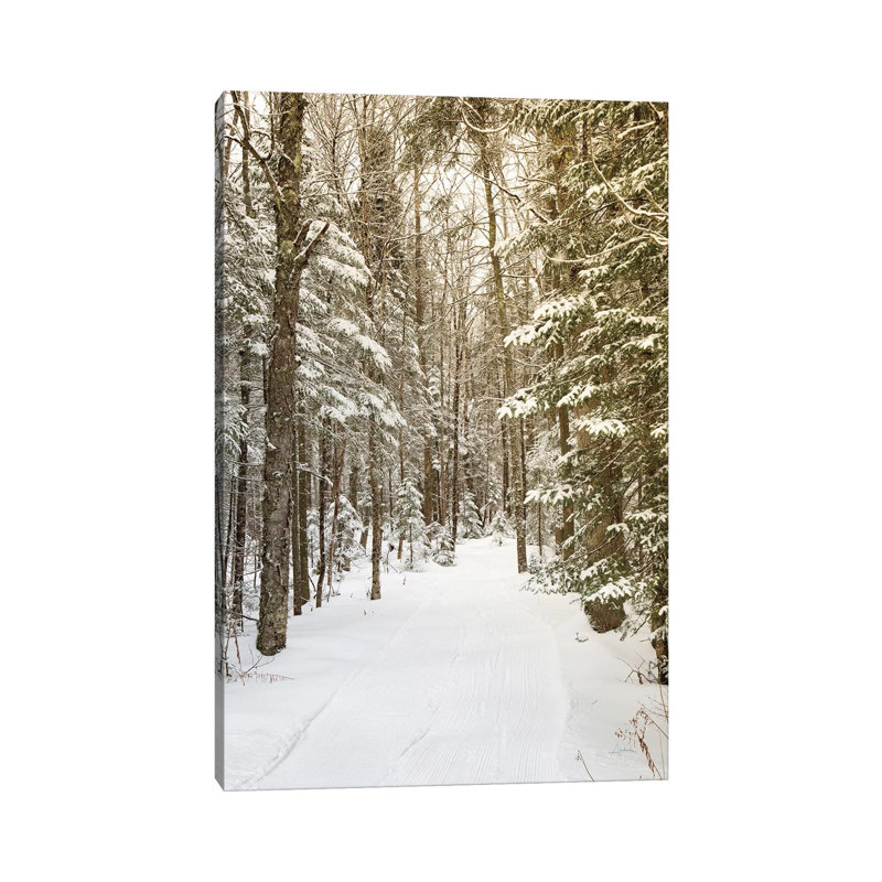 Through The Woods by Aledanda - Wrapped Canvas Print, 66.04 cm H x 45.72 cm W x 3.175 cm D