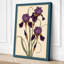 Purple Iris Study Botanical - Wrapped Canvas-2113550031-2113550036