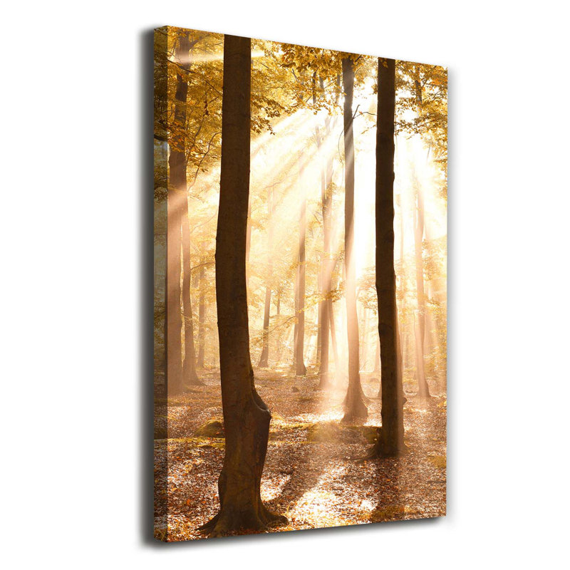Autumn Forest - Wrapped Canvas Print