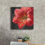 Art mural sur toile  «Vivid Floral 3 C» par Danhui Nai-804448677