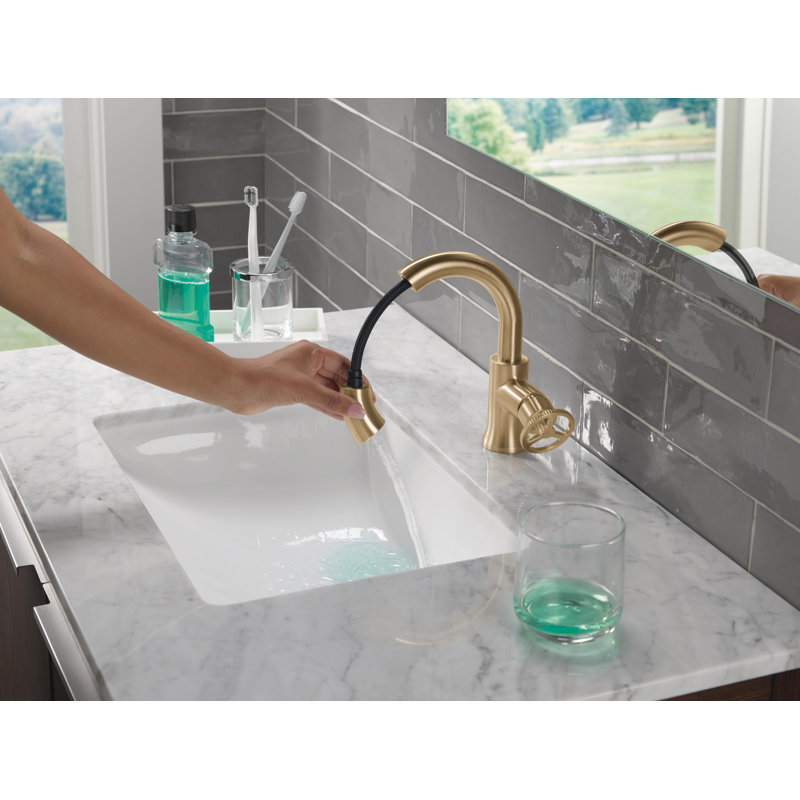 Robinet de salle de bain extractible à un trou Trinsic, robinet d'évier de salle de bain à poignée simple, Bronze champagne