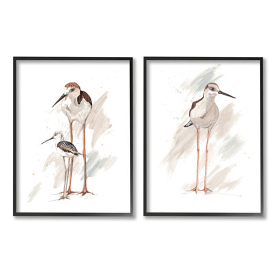 Bécasseau, famille d'oiseaux, plage ensoleillée, Patricia Pinto