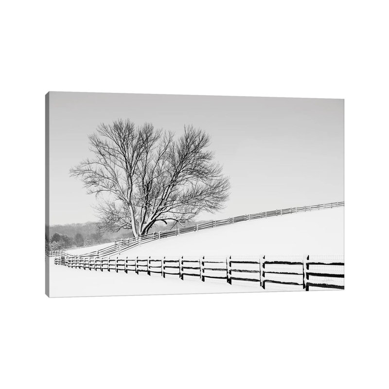 Along The Lane II by Aledanda - Wrapped Canvas Print, 20.32 cm H x 30.48 cm W