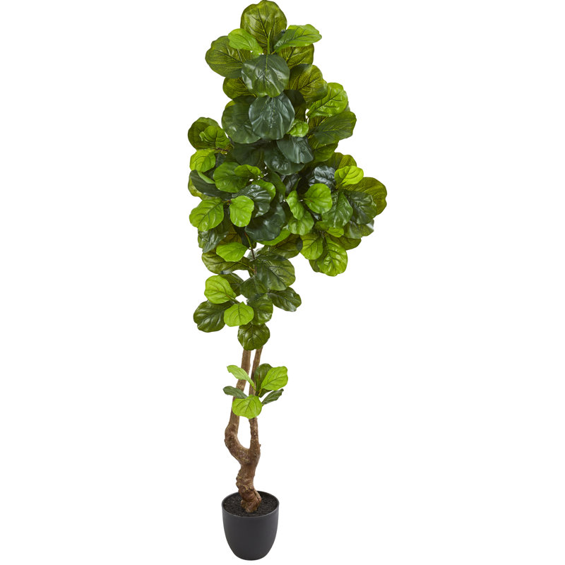 78'' Faux Fiddle Leaf Fig Tree in Stone Pot
