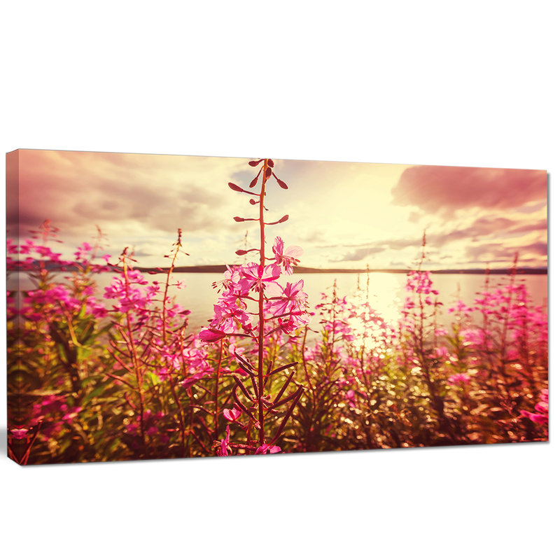 «Meadow with Purple Flowers Alaska», reproduction de photo sur toile tendue, H 16 po x l 32 po