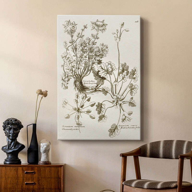 Sépia Botanical Journal IX - galerie sur mesure, H 60 po x l 40 po