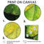 «Lympsham Green Dewy Morning Leaves I» - art mural-557631326-557631319-557631316