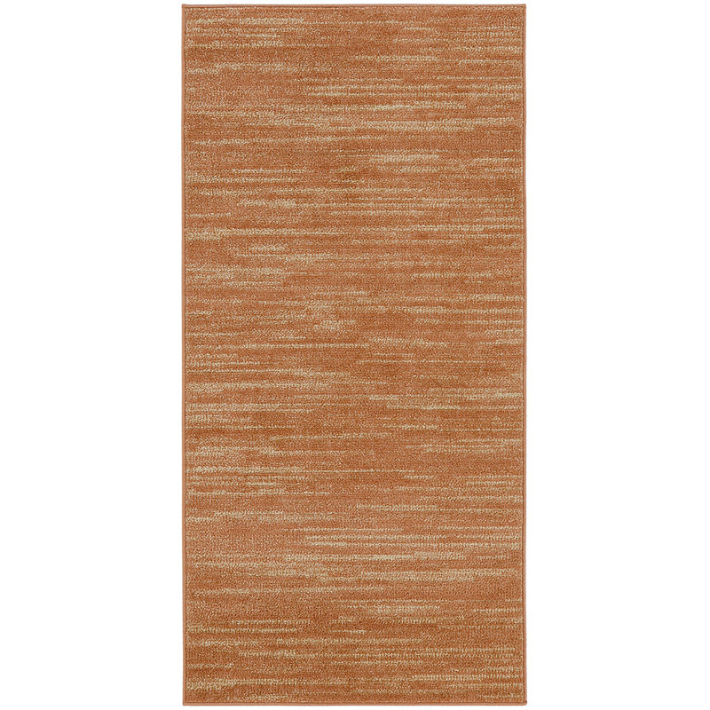 Nourison Essentials Rust Indoor/Outdoor Area Rug, Rectangle 2' x 4'