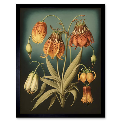 Cervin Fritillaria Flower Plant Ernst Haeckel Inspired Plant by Ernst Haeckel - Single Picture Frame Print