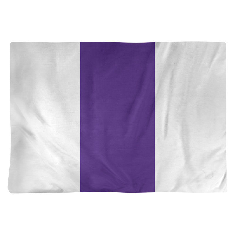 Récapitulatif 18" à rayures de football Minnesota, Blanc / mauve
