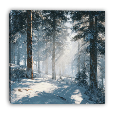 «Morning Snow parmi les bouleaux», art mural sur toile tendue